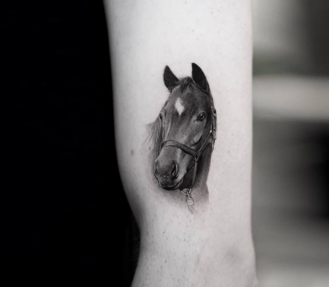 Horse head tattoo by Ben Tats Photo 31452