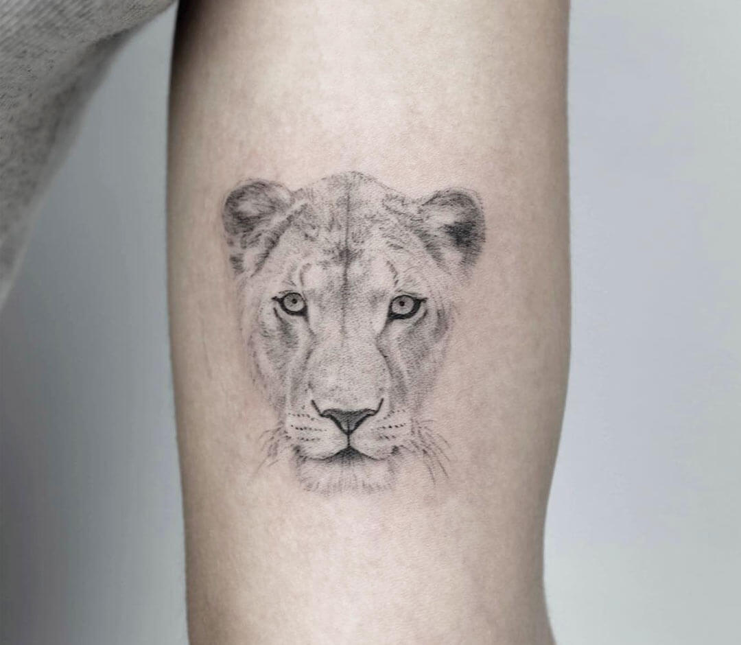 artist daniel berdiel lioness headd tattoo 21324121040