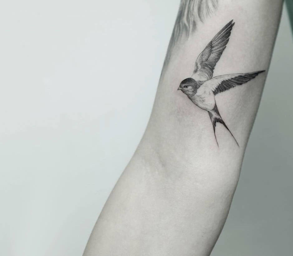 Swallow tattoo by Daniel Berdiel | Photo 31619