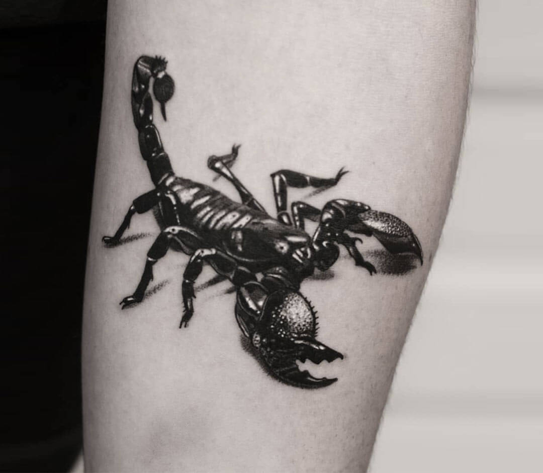 Outline scorpion tattoo on the forearm - Tattoogrid.net