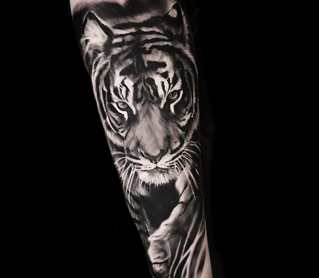 Black  White Realistic Tiger Tattoo Design