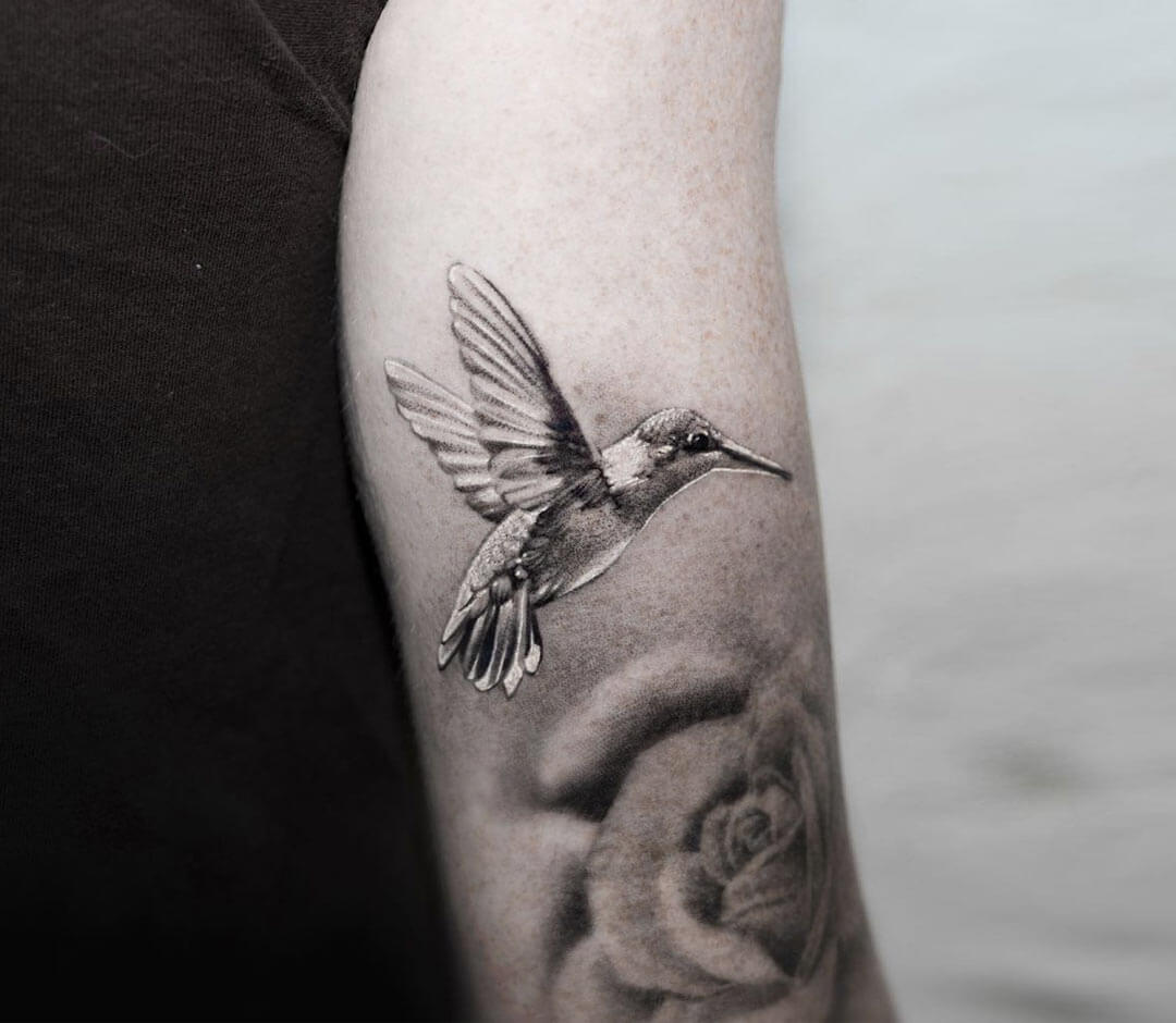 Cardinal and Hummingbird Tattoo | TikTok