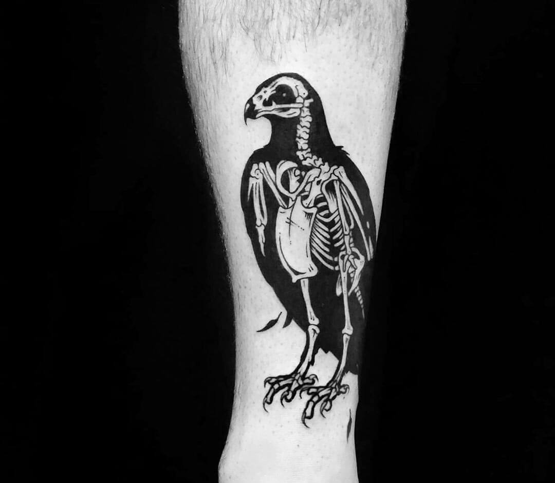 eagle anatomy | Eagle drawing, Eagle tattoo, Tattoo drawings