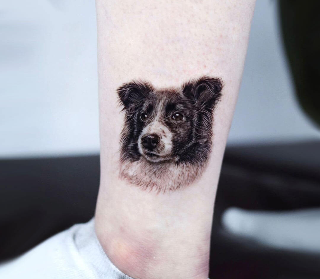 Border Collie tattoo by Tattooist Yeono  Photo 31330