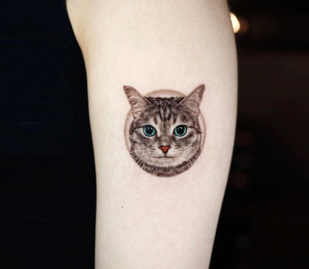 TATTOOS.ORG — Cat Tattoo Tattooed by Liz from Studio 801,...