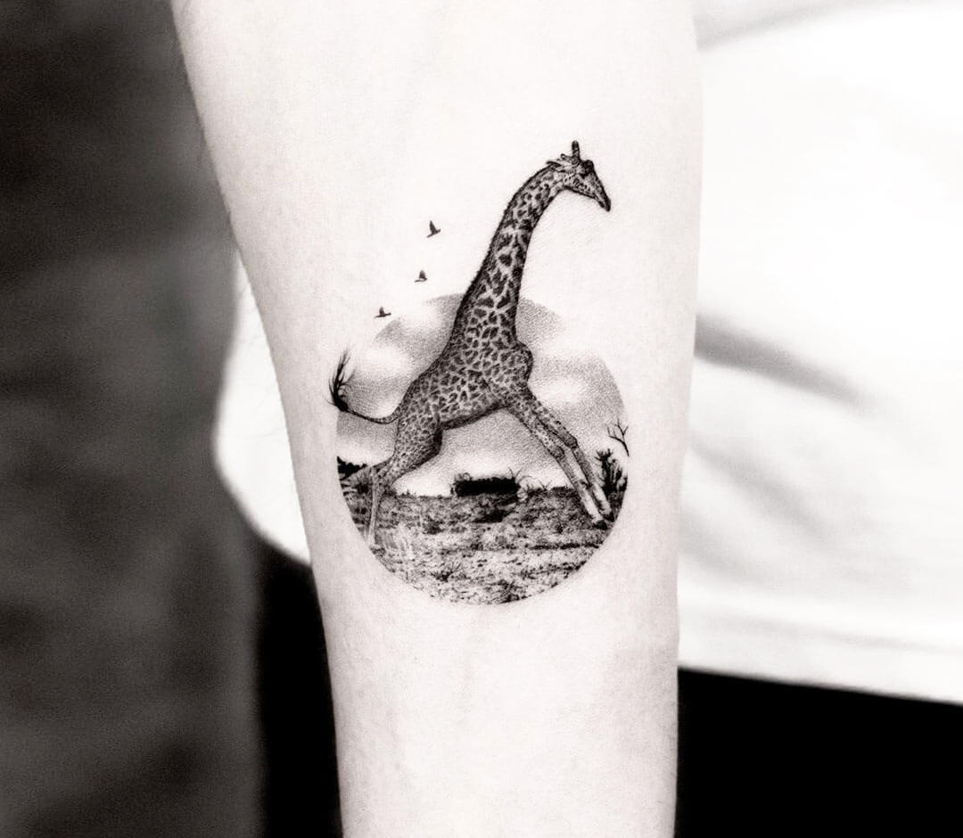 Pin by Colleen Miller Varnes on Tats | Giraffe tattoos, Animal sleeve tattoo,  Animal tattoos for women