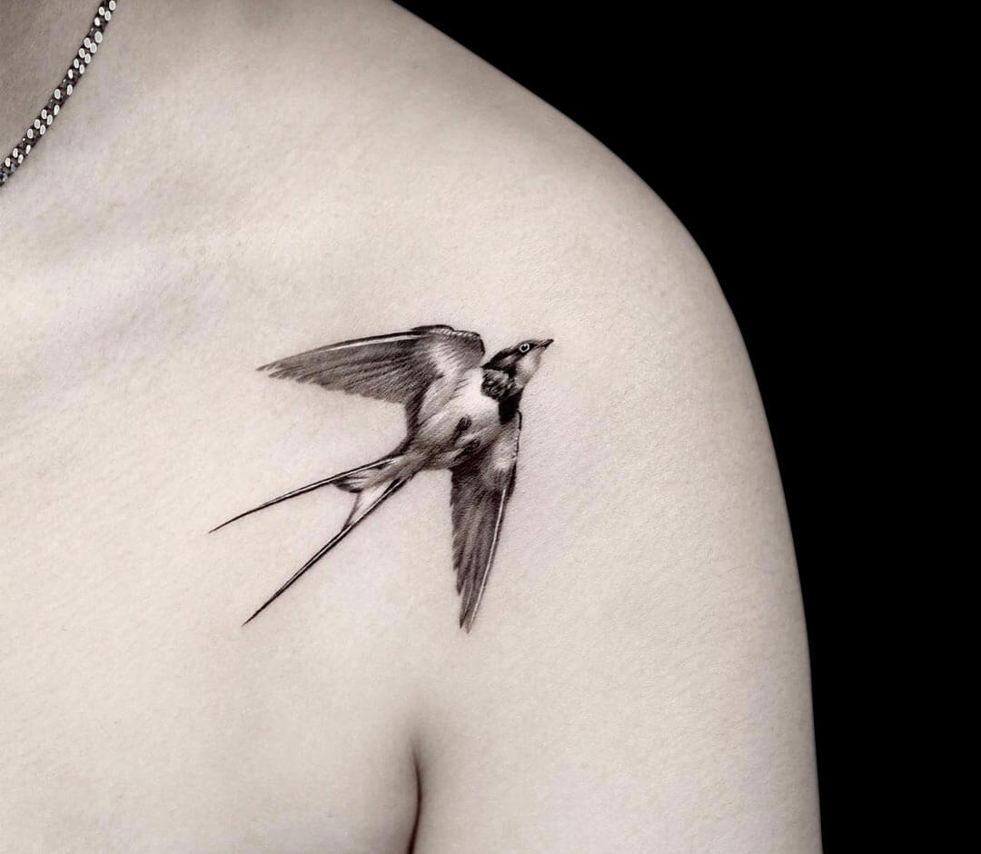 Thoughts on my new realistic swallows? : r/TattooDesigns