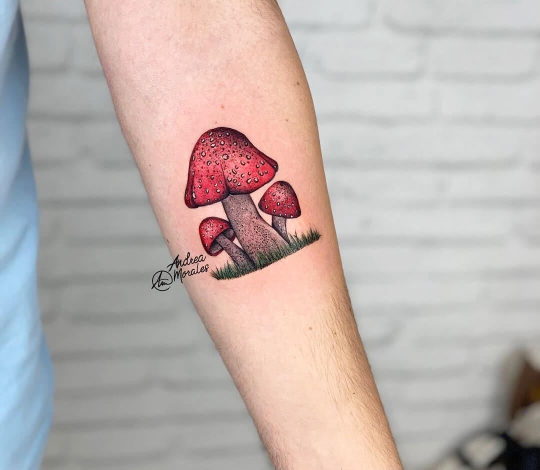 20 top Mushroom Tattoo ideas in 2024