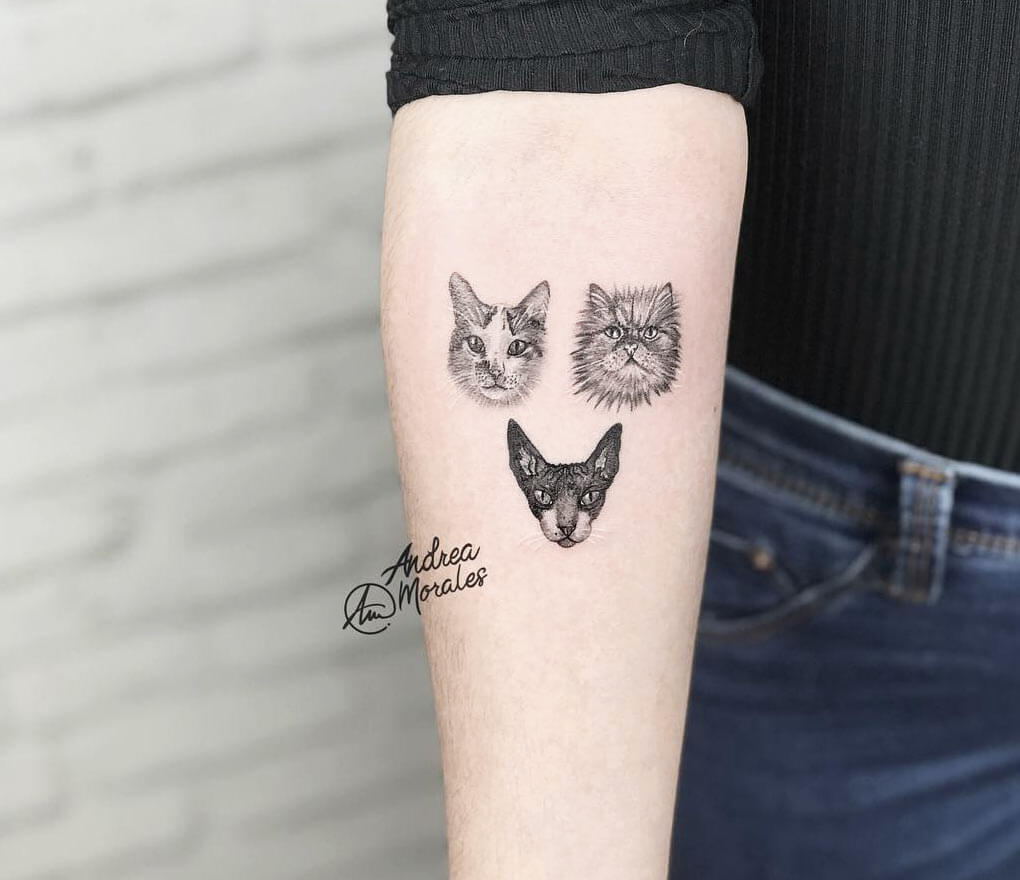 Realistic Cat by Hyeonhwa Kim Dokhwa TattooNOW