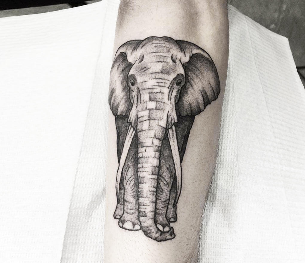 Elephant tattoo by Arthur Coury | Photo 25934