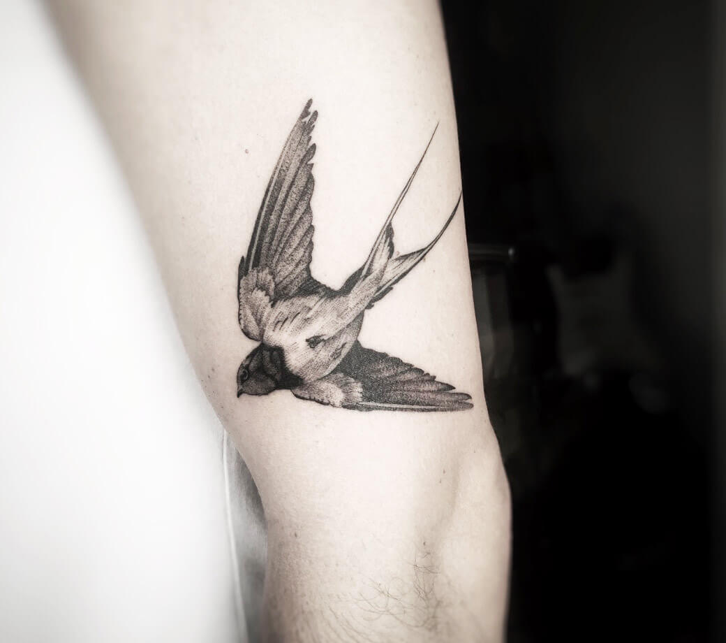 Swallow / Micro-realism 🕊️ @Colibri Tattoo and Piercing #toronto #mi... |  TikTok