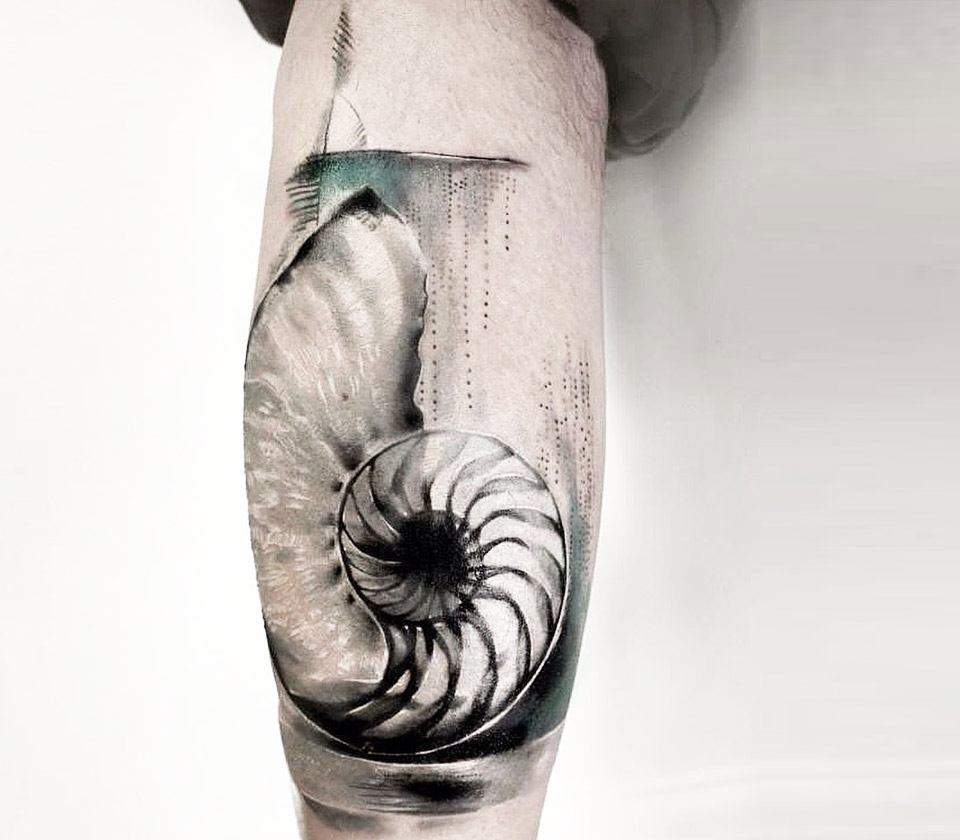 Nautilus Sea Shell Tattoo By Bartt Tattoo Photo