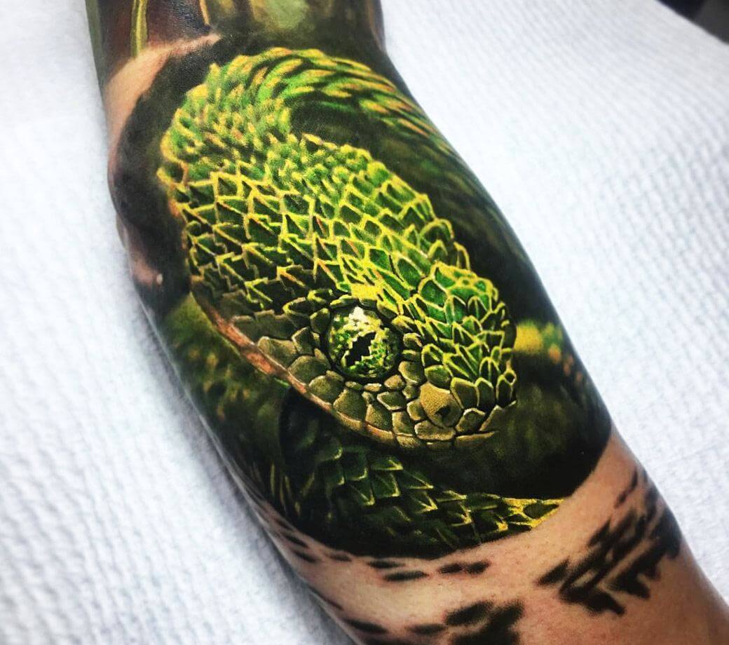 Bush Viper tattoo by Ben Kaye  Photo 18691