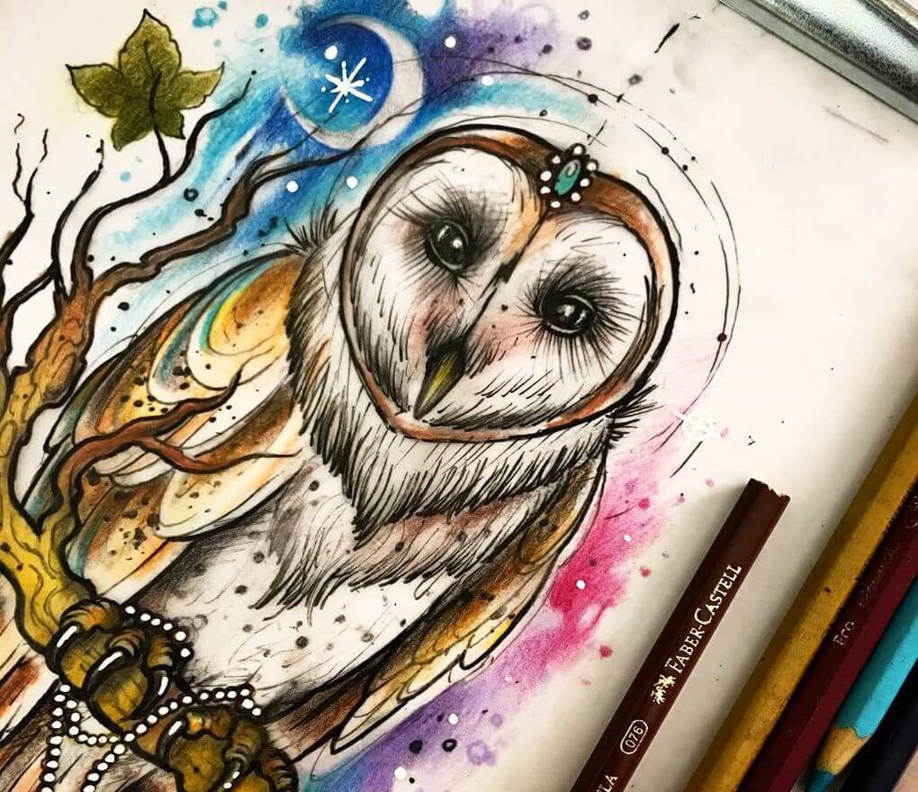 Owl drawing by Brandon Bec | Photo 24489