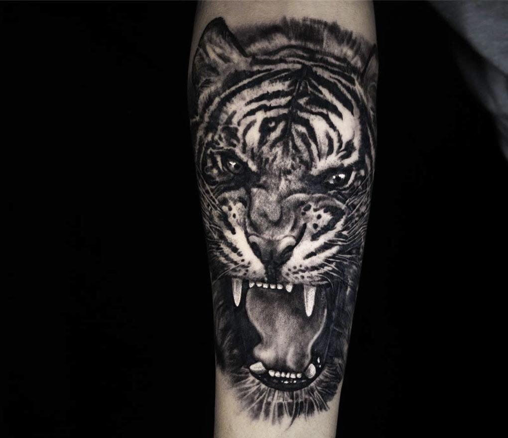 Wild Tiger tattoo by Carlos Rojas | Photo 21587
