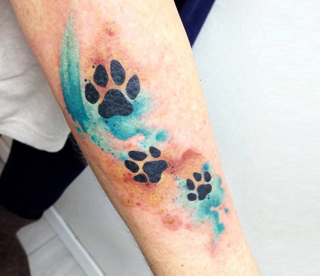 dog paw print tattoo watercolorTikTok Search
