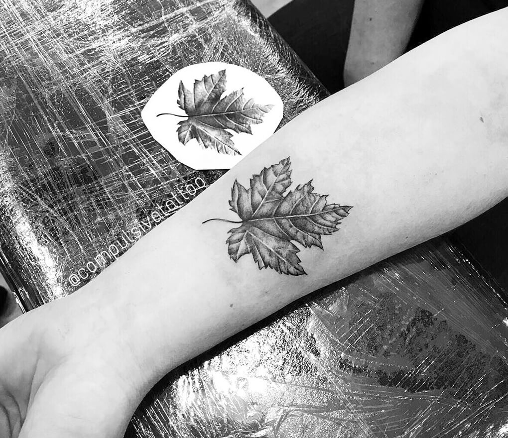 Canadian maple leaf tattoo. Cover up job. Barnstormers : r/tattoo