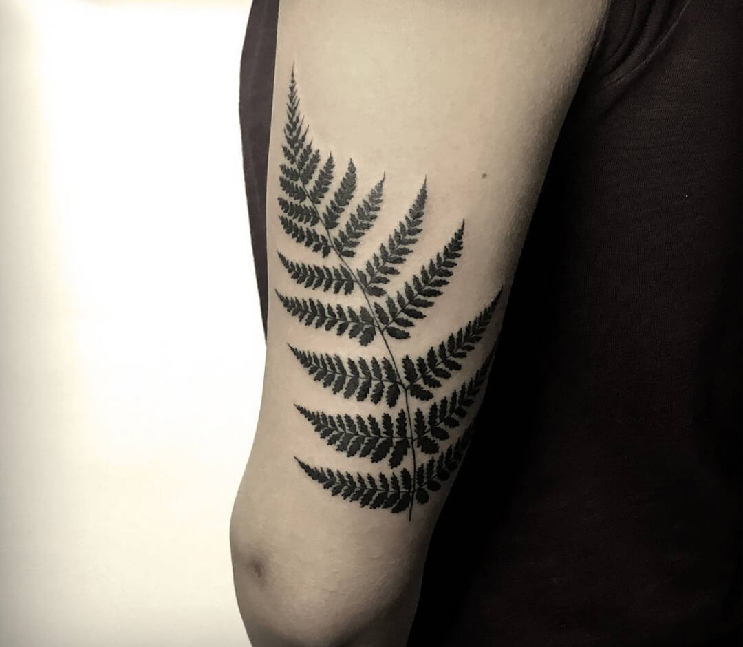 Brazilian jungle fern tattoo on the right forearm.