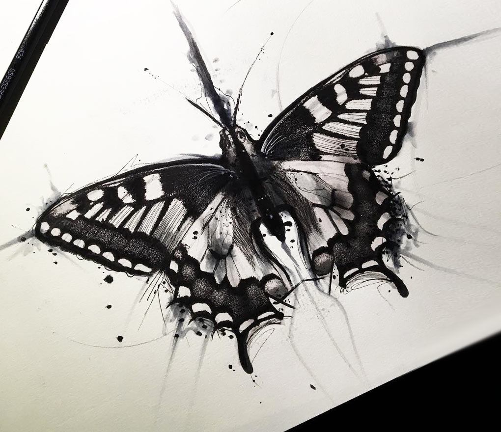 Butterfly drawing tattoo by Darek Tattoo | Photo 22742