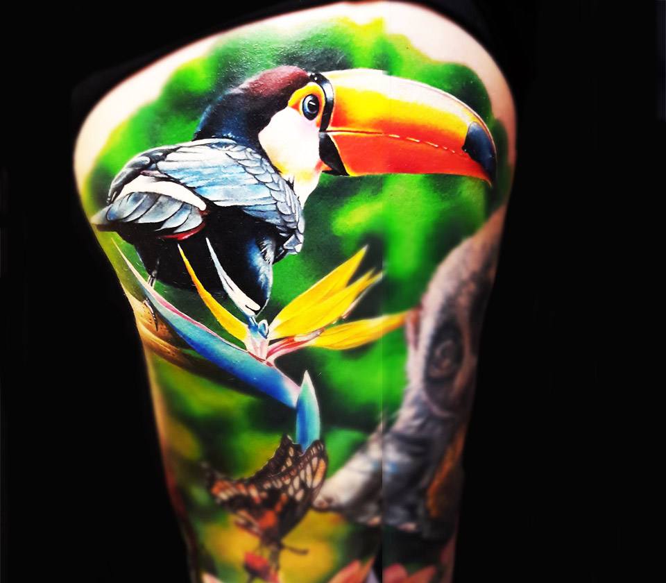 Parrot tattoo by Anastasia Agapova | Post 24735