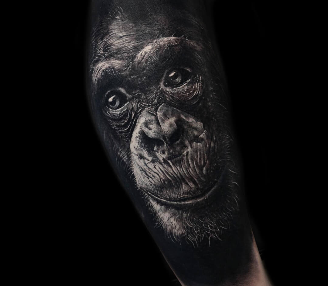 Tattoo tagged with: big, chimpanzee, animal, graphic, charlottechadeau,  facebook, forearm, twitter, primate | inked-app.com