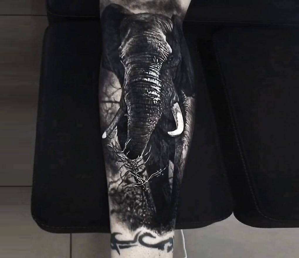elephant tattoo on hip | Hip thigh tattoos, Thigh tattoos women, Hip tattoos  women