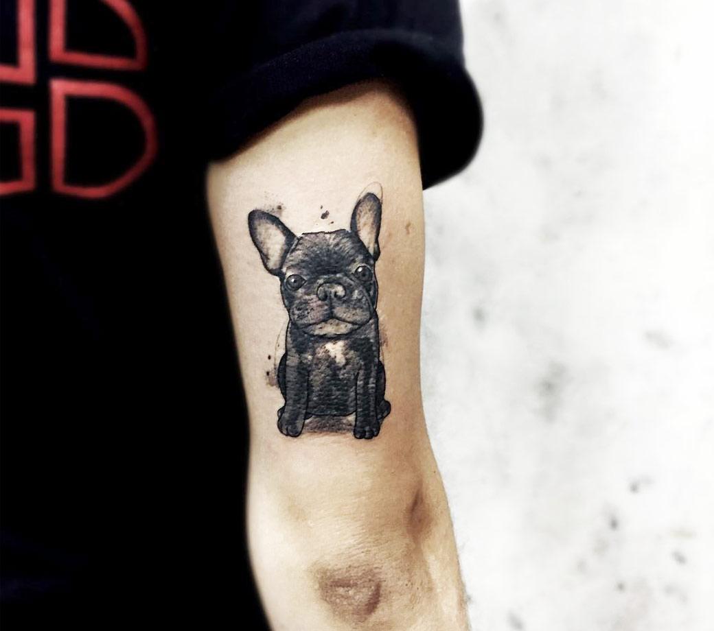Bulldog tattoo by Felipe Mello | Photo 18152