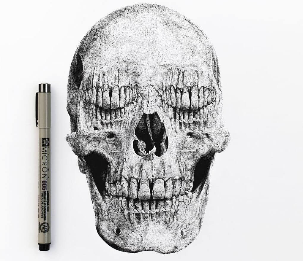 Graphic Detailed Hand Drawn Human Skull Sketch, Vectors | GraphicRiver