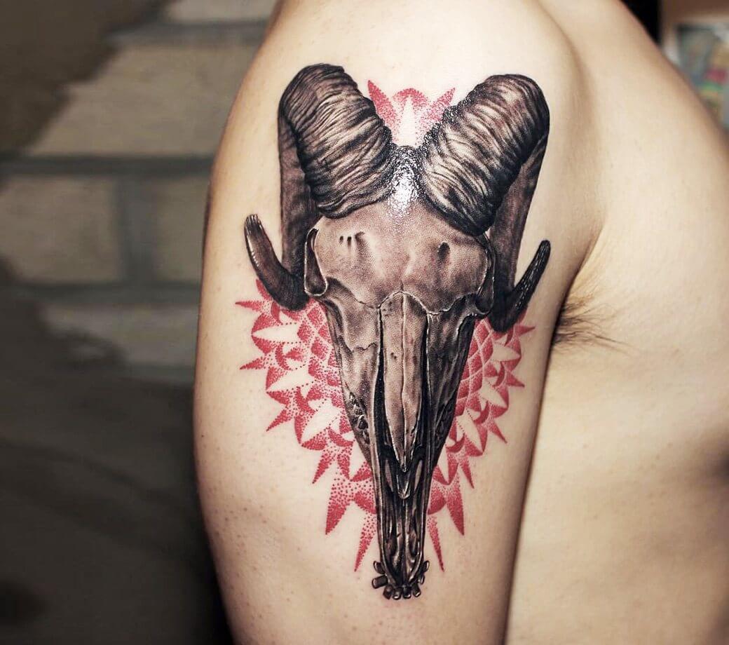Yorick color deer animal skull leg Mo Shagas antlers | Flickr