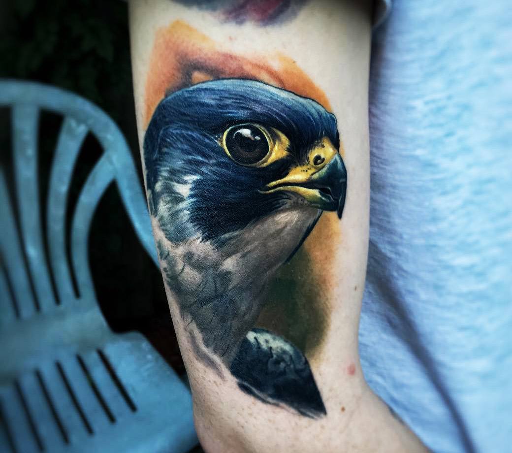 Tattoo uploaded by Jade Barrett • Black and grey Peregrine Falcon adding to  this ongoing project • Tattoodo