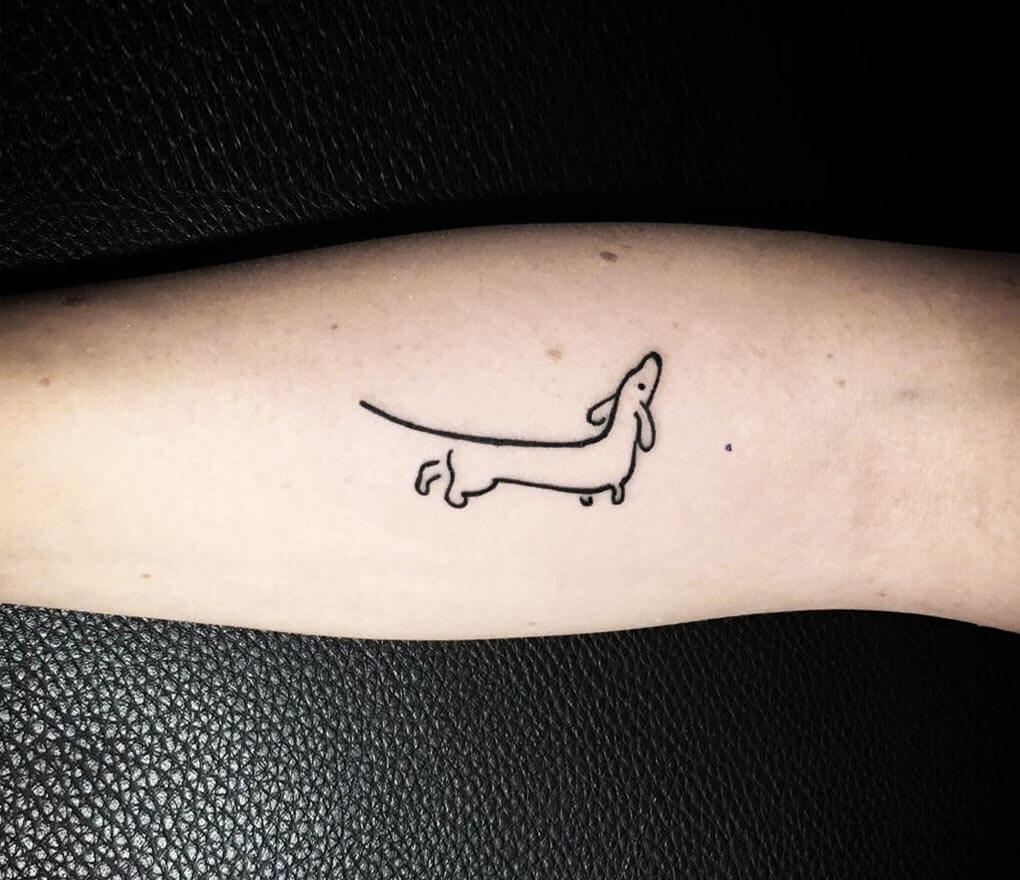 Tattoo goals   maggiethedashie  Sausage Dog Central  Facebook