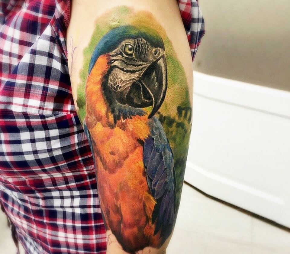 Macaw Tattoos | Tattoofilter