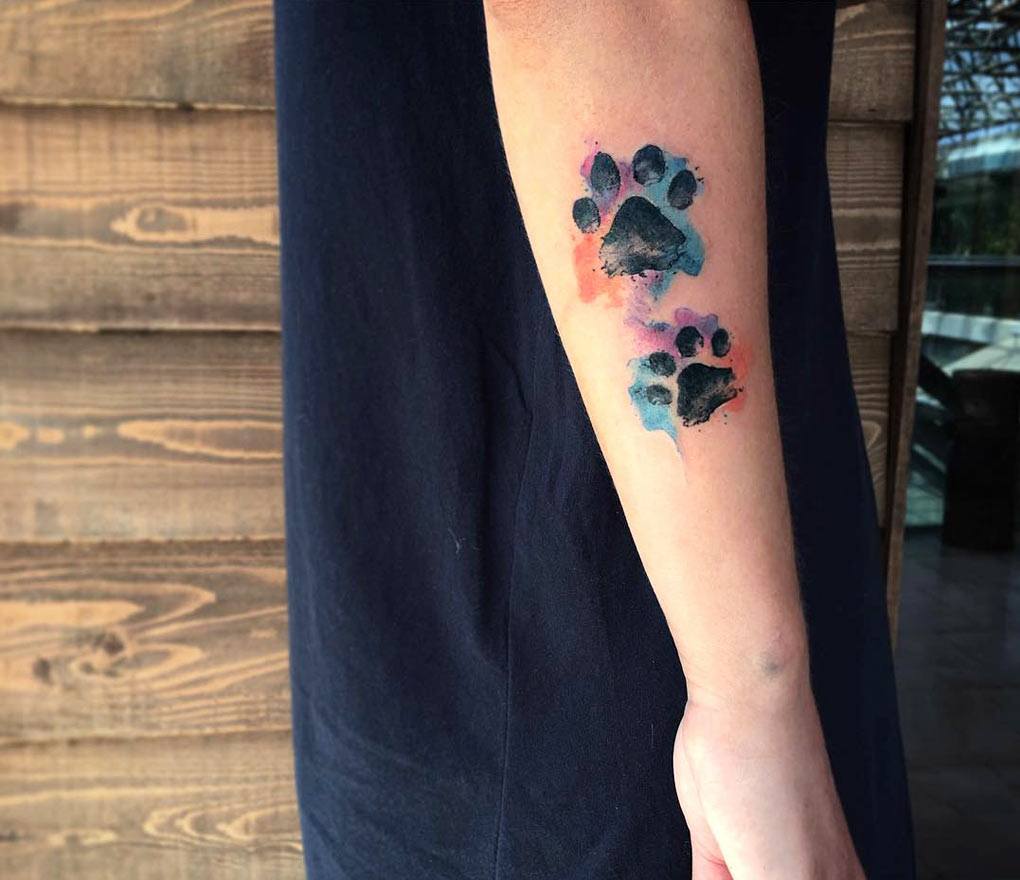 CK Tattoo Studio & Training Academy - Paw tattoo with abstract color At  Cktattoostudio Branch:- City Mall Siliguri . #pawtattoo #colortattoo  #CkTattooStudio #siliguri #besttattooartist #besttattoostudio  #besttattooshop For appointment call or whatsapp ...