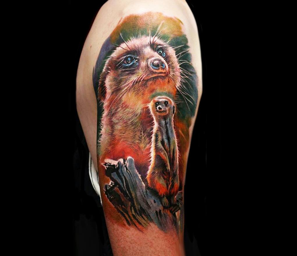 Meerkat tattoo by Lena Art Photo 22191