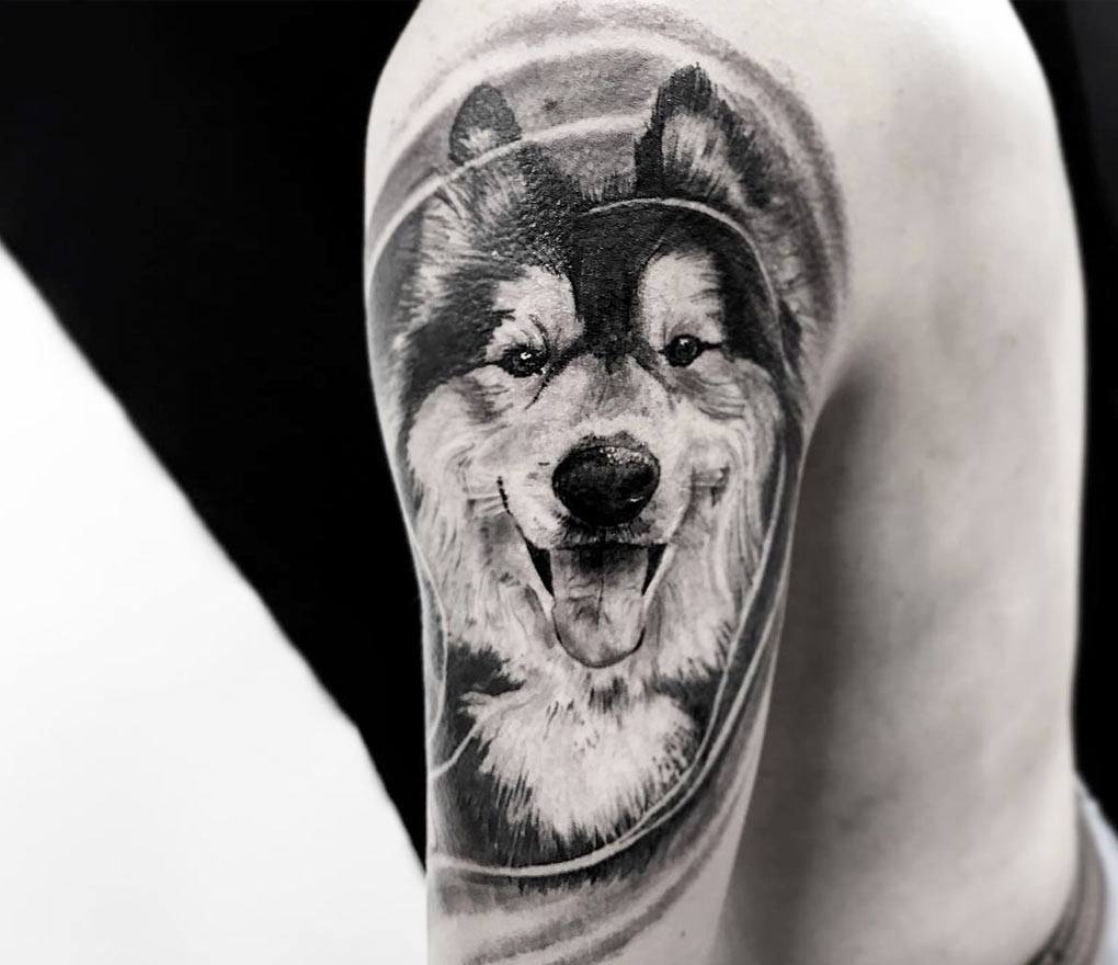 Wrapped up this wolf portrait during my guest spot at @inspirebodyart this  week. Thanks for letting me do this 👏🏼 To see my upcomi... | Instagram