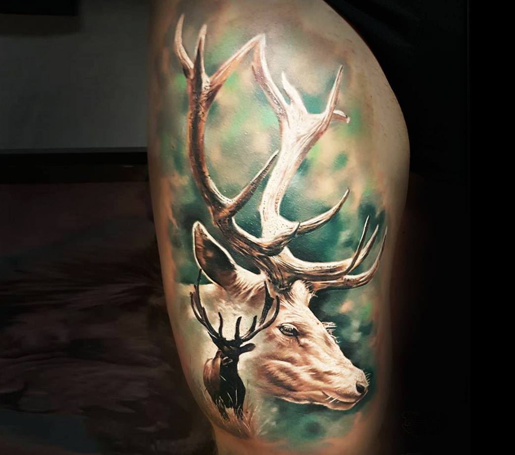 Deer 🦌 #deer #deertattoo #tattoo #ink #bjtattoo #bjtattoostudio #bjin...  TikTok