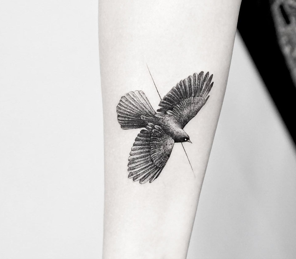 Bird tattoo by Mr. K Tattoo | Photo 17728