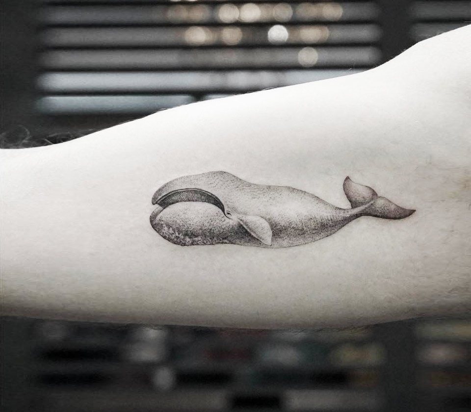 Orca whale tattoo by Craig: TattooNOW