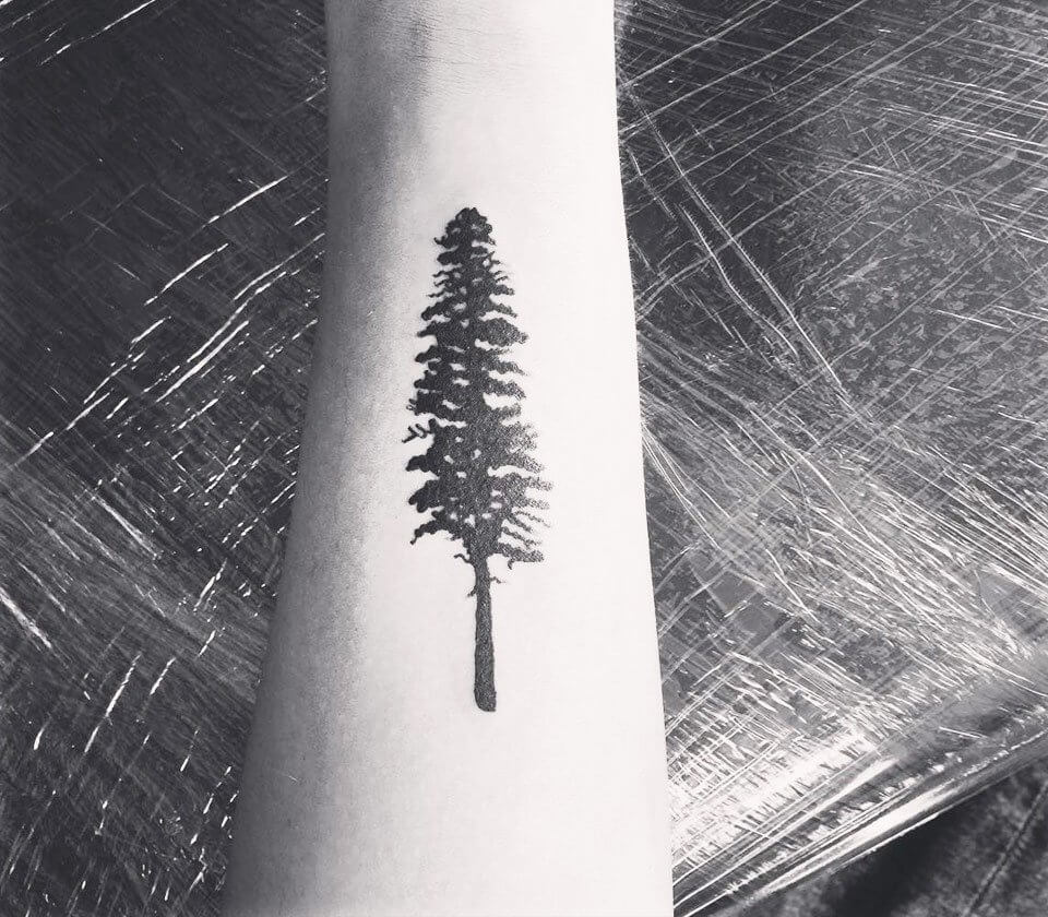 First tattoo! Sequoia tree on right Rib. [FRESH] : r/tattoo