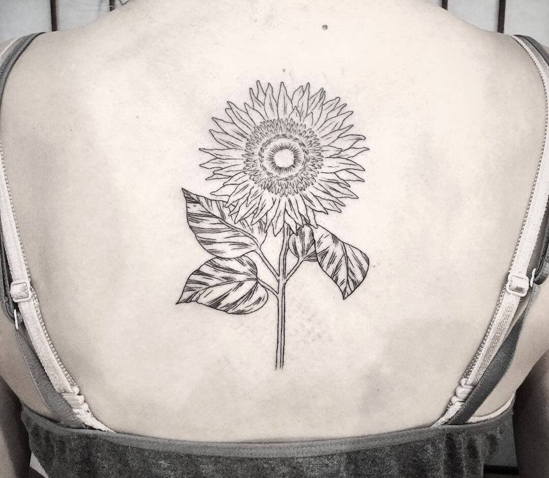 Premium Photo | Minimalistic Sunflower Tattoo Design Sketch In Charcoal On  White