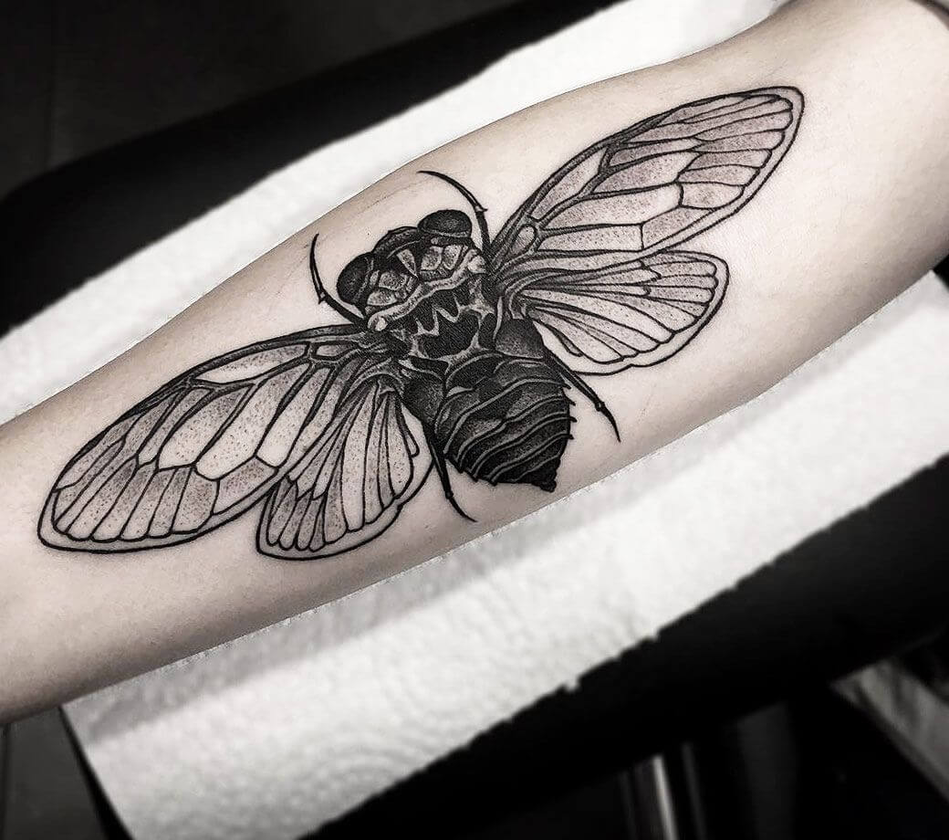 Fly Tattoo By Otheser Tattoo Photo 146