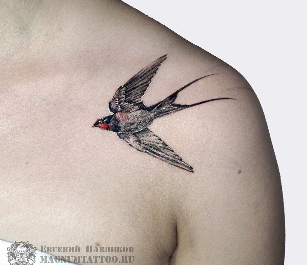 Explore the 24 Best swallow Tattoo Ideas (2019) • Tattoodo
