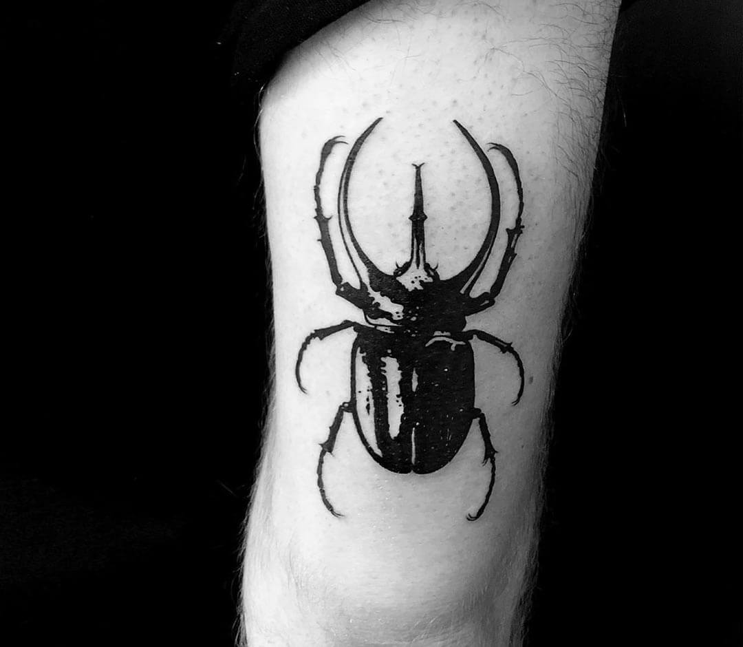 Beetle Tattoo Projects  Photos videos logos illustrations and branding  on Behance