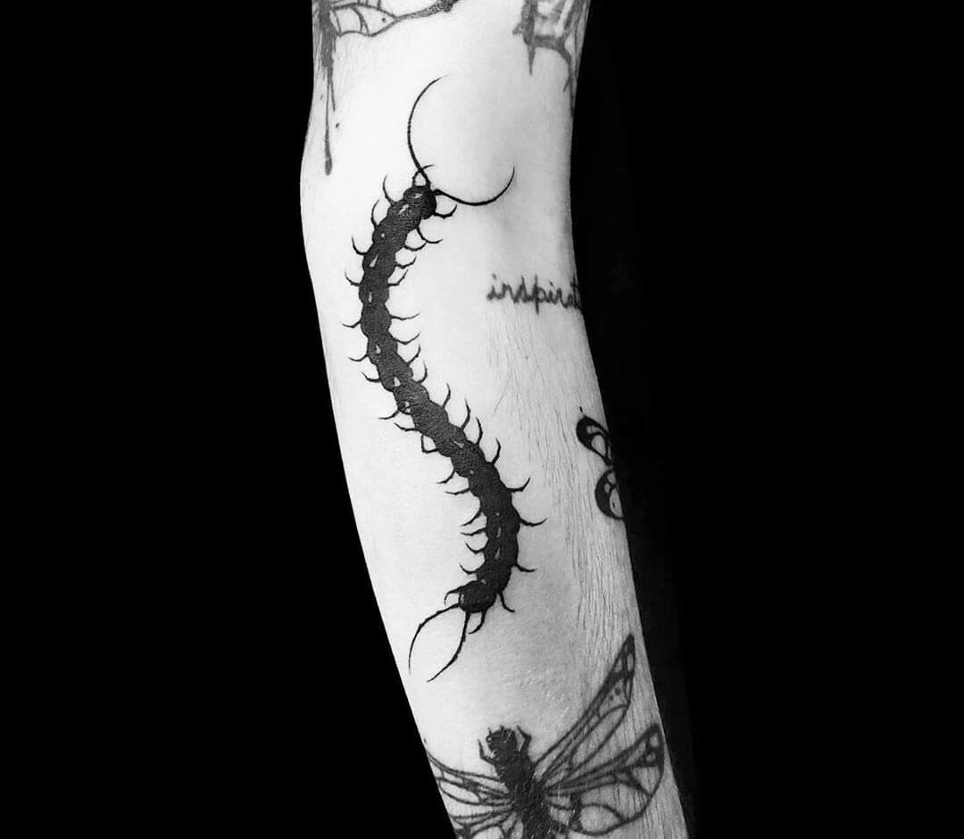 131 Unique Centipede Tattoos With Incredible Visuals