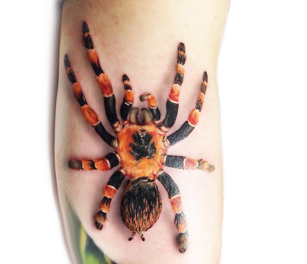 Breaking Tradition Tattoo - Tarantula - By Dan | Facebook
