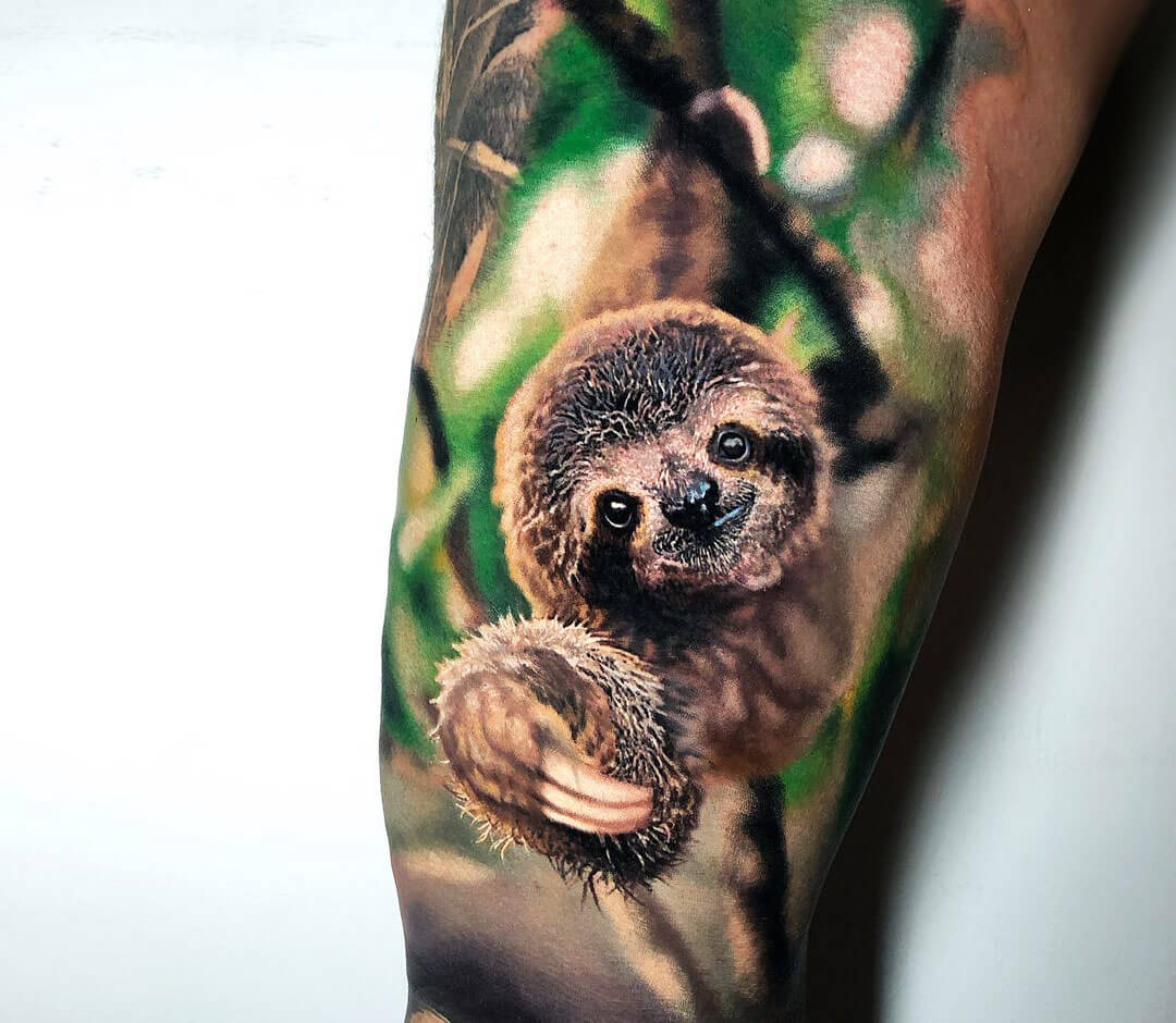 Sloth Tattoo Print Watercolour Art Tattoo Design  Etsy Israel