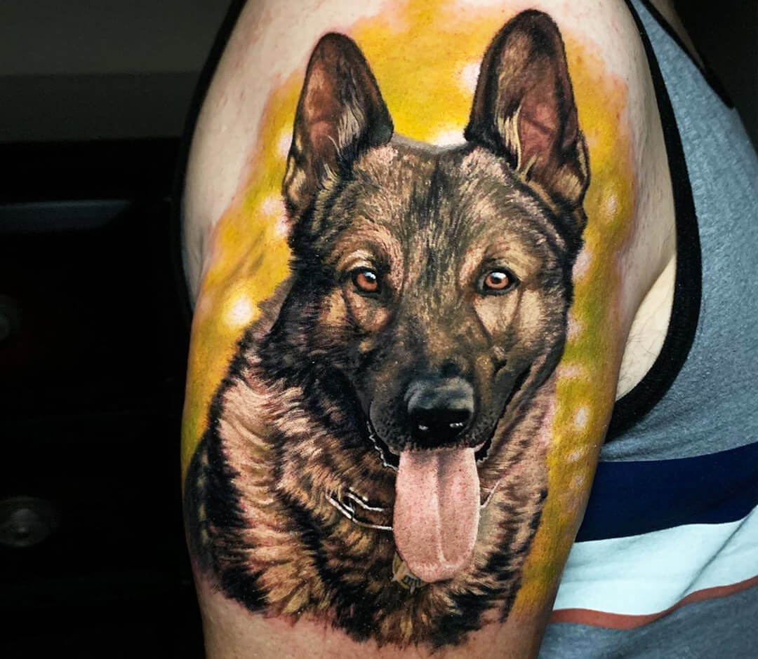 Nero Morens Tattoos  Belgian malinois dog portrait thank you Pablo