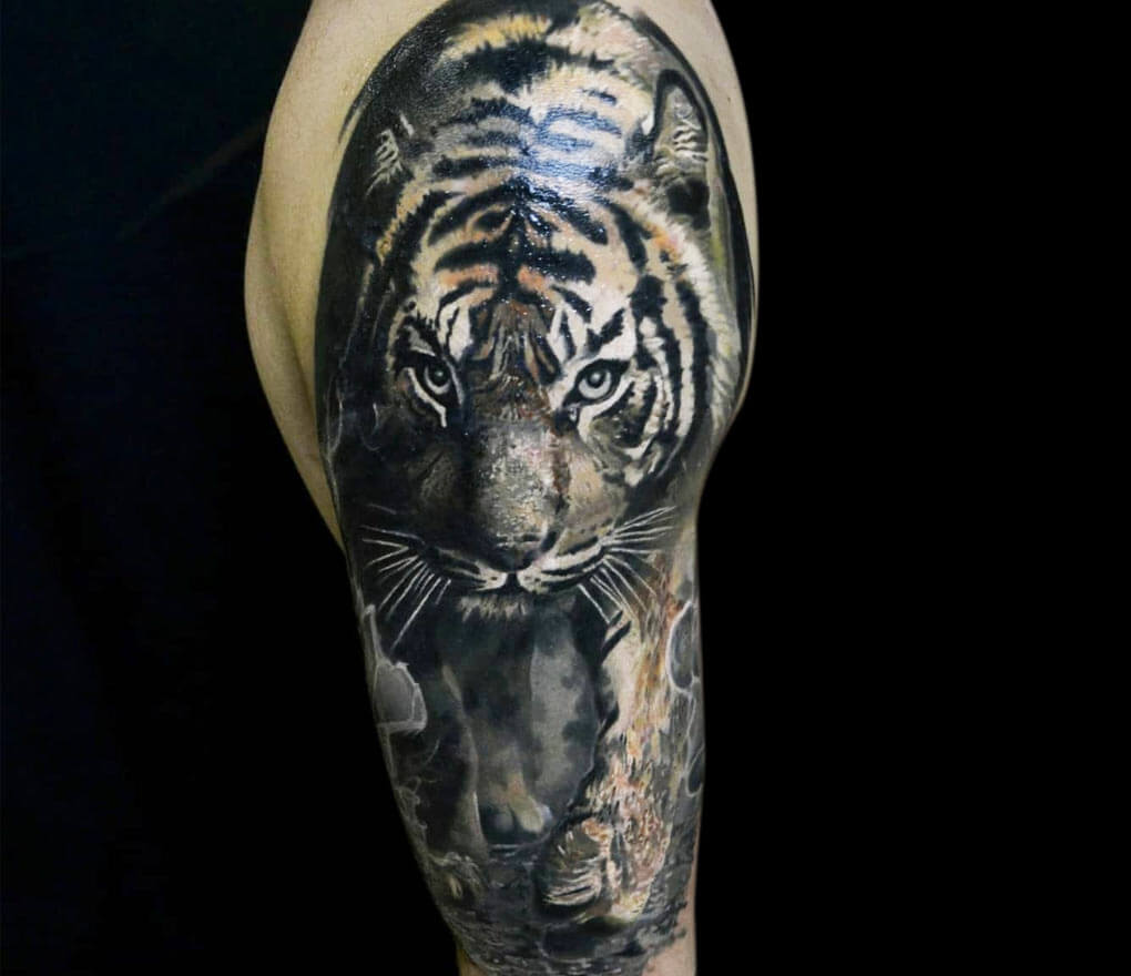 Tiger Tattoo🔥 📌Fun Fact: India is the country with the largest number of wild  tigers. 📢To Book an appointment call us at: 766... | Instagram