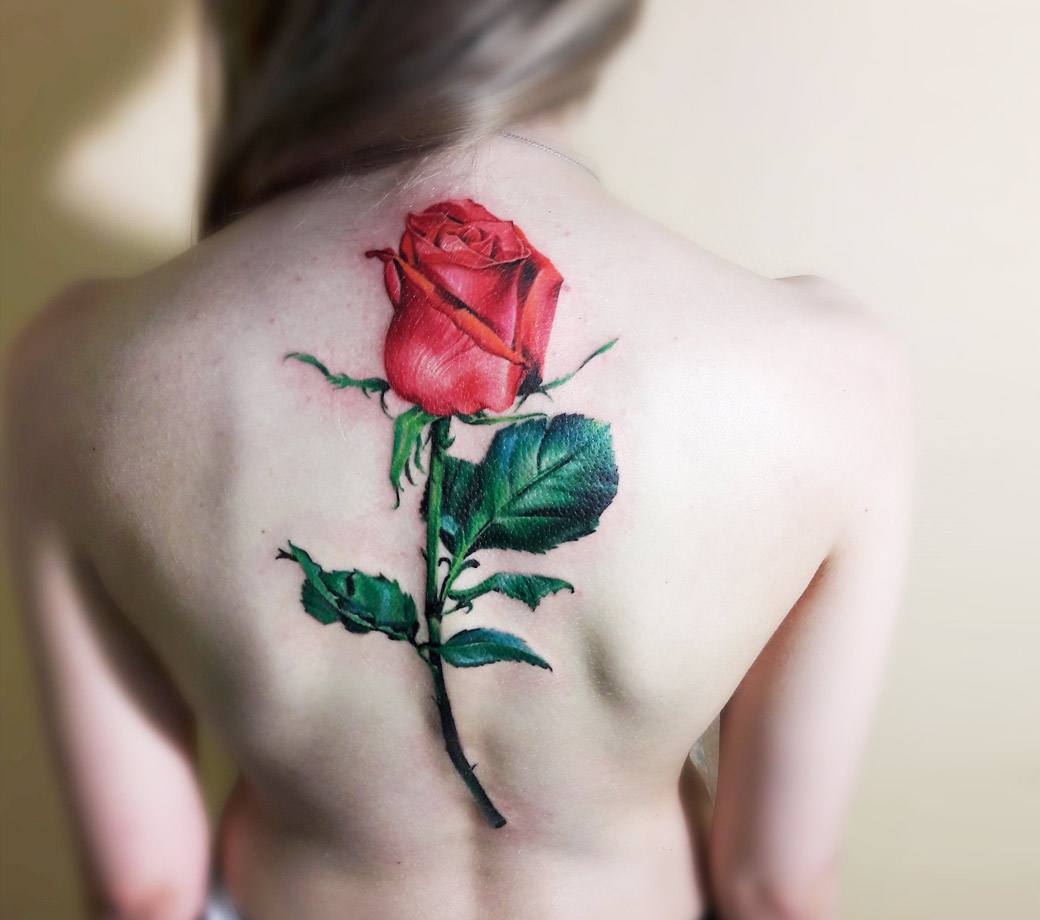 realistic red rose tattoo paisley  Sile Sanda  Flickr