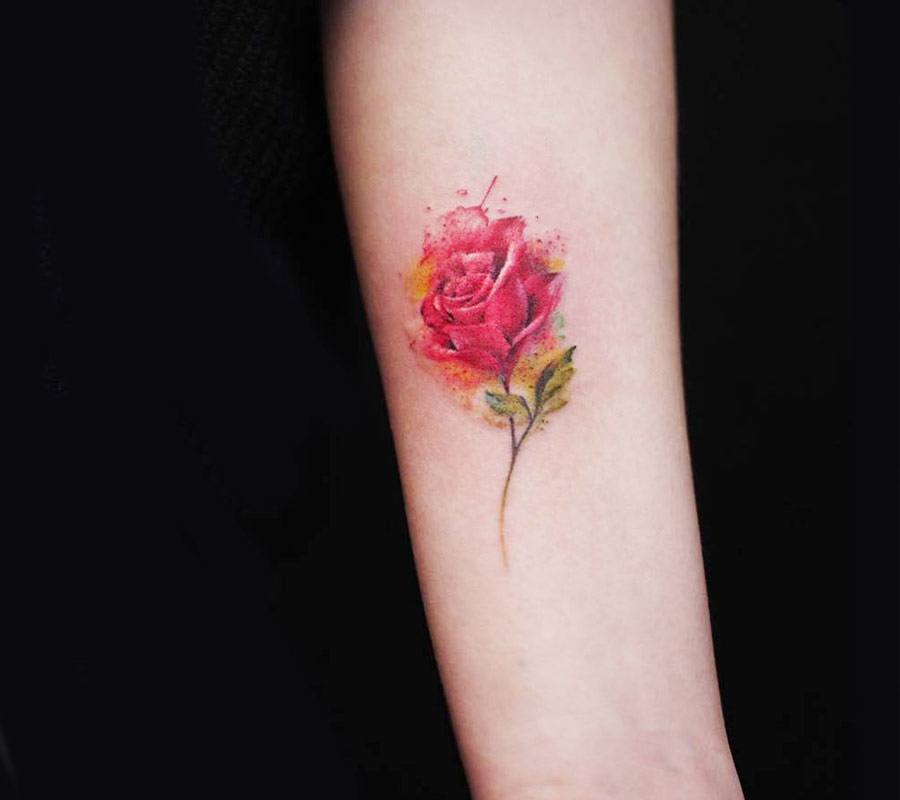 Watercolor pink rose tattoo on the inner forearm